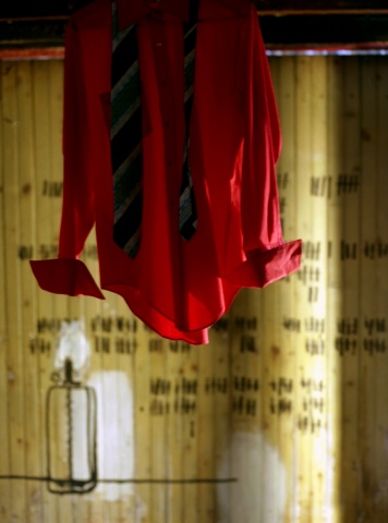 "wolfpack", from the series divine lorraine
