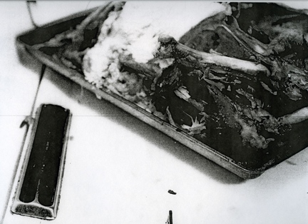 thanksgiving, from the series _inseam_