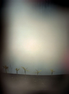 crestfallen