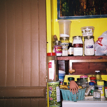 wasabi peas barbie hand, from the series _wake me with a tallboy_