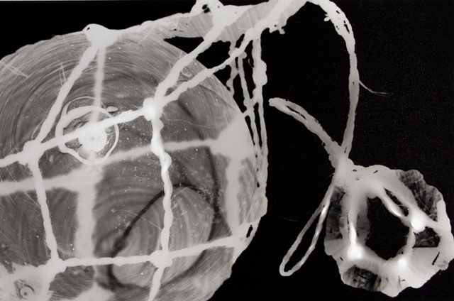 Photogram by Andrew