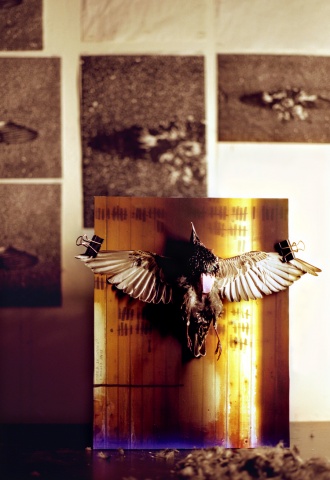 "via flaminia", from the series divine lorraine