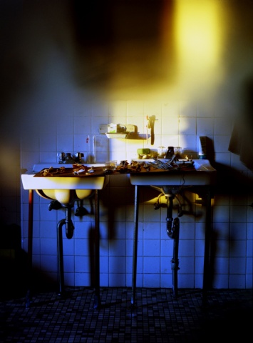 "vaseline", from the series divine lorraine