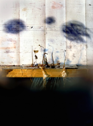 "I'm going", from the series divine lorraine