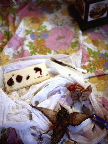"streetfighting knife", from the series divine lorraine