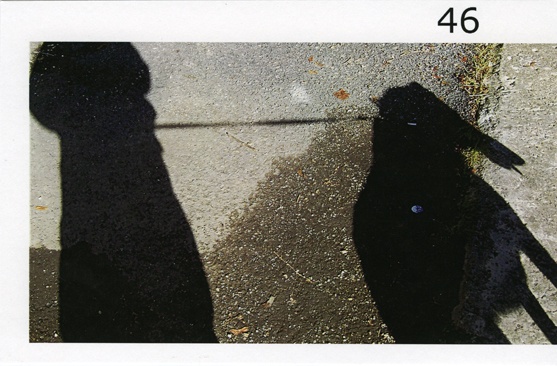 bridge, from the series  _chronic perversions_