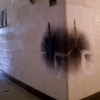 Enlargement and Installation, by Tim Malone