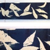 Cyanotype Collections Book, by Skylar Nikpour
