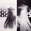 Image Enlargement by Amanda Bowers