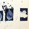 Cyanotype 2 by Amanda Bowers