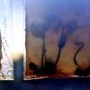 "I'm trying", from the series divine lorraine