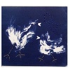 Cyanotype Collections Book, by Mercede Scheirer