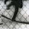 monkey house, from the series _inseam_