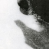 llama, from the series _inseam_