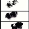 Pinhole Images, by Meredith Gowell