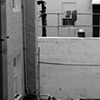 Midterm Image 5 by Angela Nace