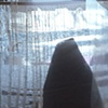devotion (2010)