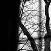Midterm Image 3 by Angela Nace