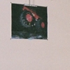 monster truck chandelier, from the series _wake me with a tallboy_
