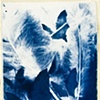 detail 5: Dream Journal for Uncle John by Jason Tucker