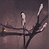 2008 Photo Process Class Edition by Tamsen Wojtanowski