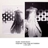 Photo Process Workshop Semester Review