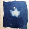 Cyanotype Collections Book, by Harry W Eichelberger III