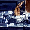Untitled (bones)