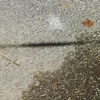 bridge, from the series  _chronic perversions_