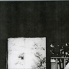 elephants, from the series _inseam_