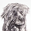 Lithograph