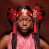 Red Feathered Headdress