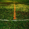 Clark Fields