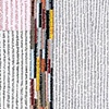 Spine