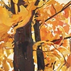 Maple