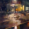 Public Deer Series 1
