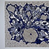 Organism II