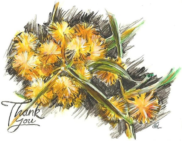 Golden Wattle