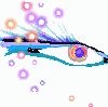 About Sedna