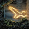 The Lights