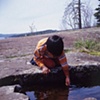 Tadpoles