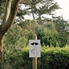 San Francisco Zoo, California #5