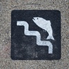 Szeged Fish