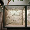 Berlin Zoo, Germany #2