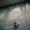 Lincoln Park Zoo, Chicago, Illinois #1