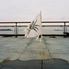 Crab, Battery Park