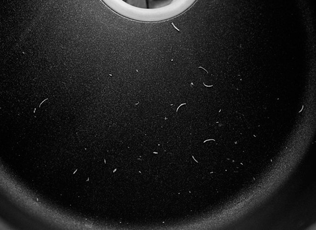 fingernails in sink