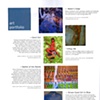 Art New Orleans Magazine review page 20