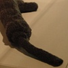 HAND KNIT MACHINE GUN