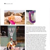 SWATCH magazine article 